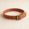 Waxed Canvas Collar in rust-brown hand-waxed cotton canvas with a leather lining and antiqued brass buckle