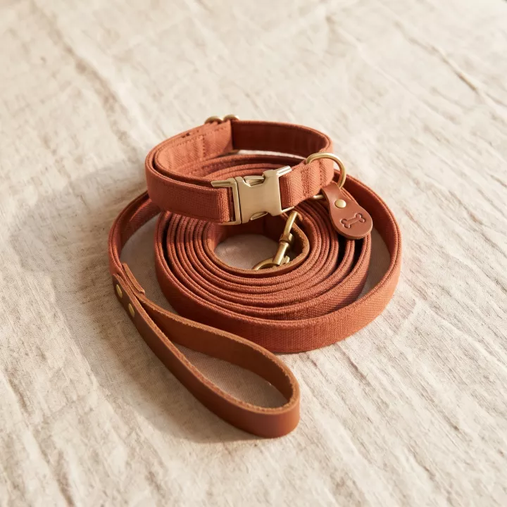 A terracotta leather collar and coiled lead on natural linen